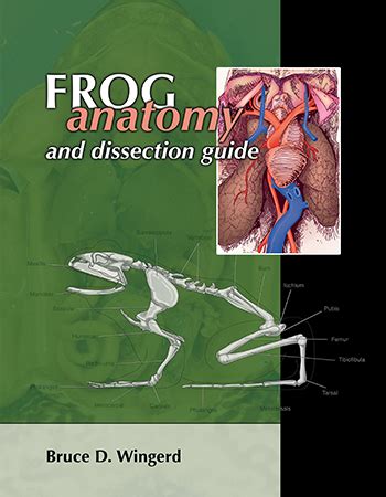 Frog dissection manual by bruce d wingerd. - Leroi compressor sds 100 service manual.