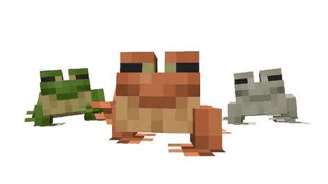 Frog minecraft wiki. A slimeball is a crafting ingredient commonly dropped by slimes, and can be sneezed out by pandas. If a slime's size is 1, it drops 0–2 slimeballs when killed. The maximum number of slimeballs is increased by 1 per level of Looting, for a maximum of 5 slimeballs with Looting III. Baby pandas have a 1⁄700 chance of dropping one slimeball when sneezing. Wandering traders sometimes offer to ... 