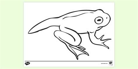 Coloring Pages For Cards