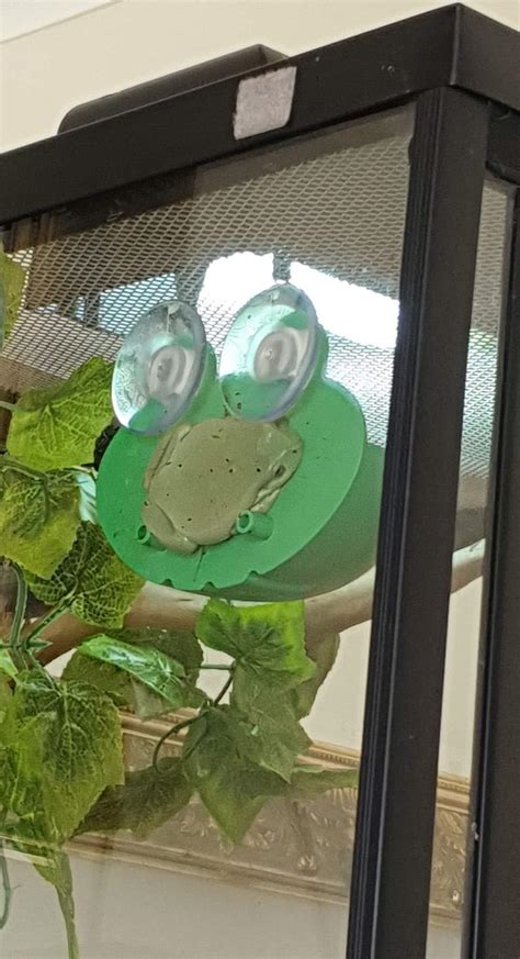 🔥 Froglet321 Leaked (SEX)