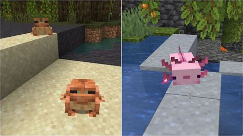 Frogs vs Axolotls in Minecraft How different are the two mobs 