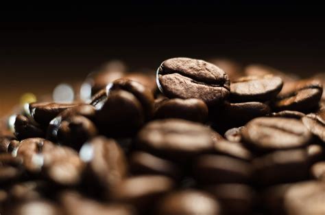 From Bean to Brew: Discovering Local Coffee Near You
