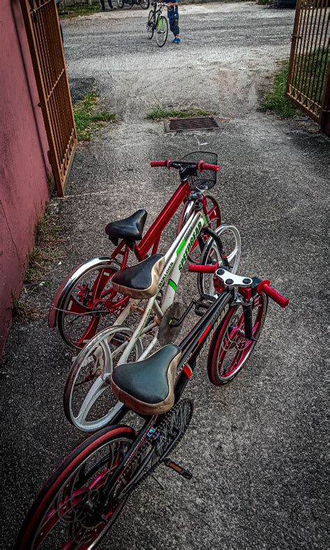 codini.rgarabwor.edu.pl. 