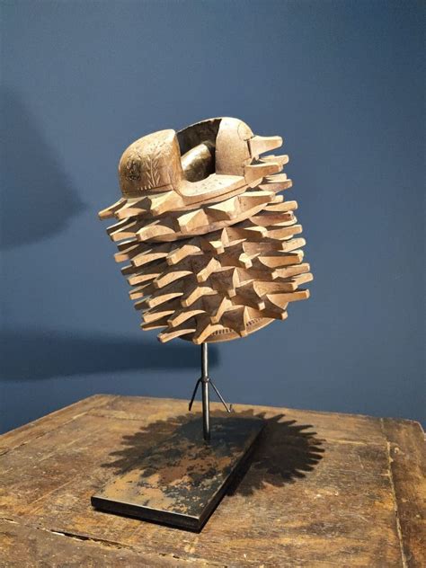 From Curiosity to Collar