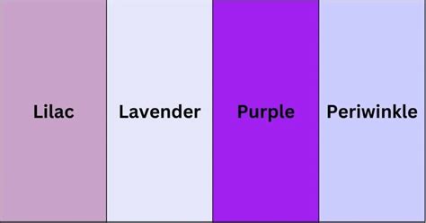 From Lavender to Violet