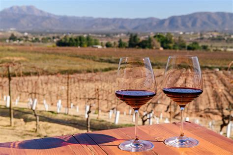 From Oceanside to Valle de Guadalupe: This private jet wine-tasting day trip is luxury