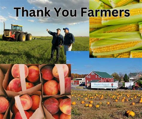 veodersti.rgarabwor.edu.pl. 