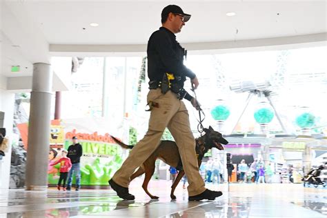 From a basement dispatch center to ‘behavior detection’ officers, here’s a behind-the-scenes look at MOA security
