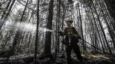 From hoses and shovels to water bombers: how wildfires are being fought across Canada