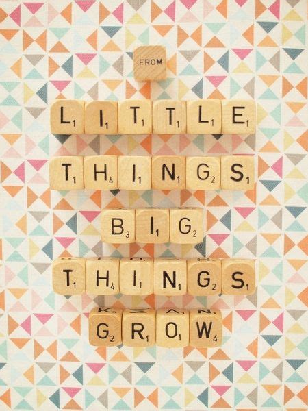 From little things big things grow - pinterest.com.au