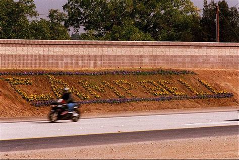 From the Roadshow archives: Bed of flowers puts the brakes on Highway 85 commute