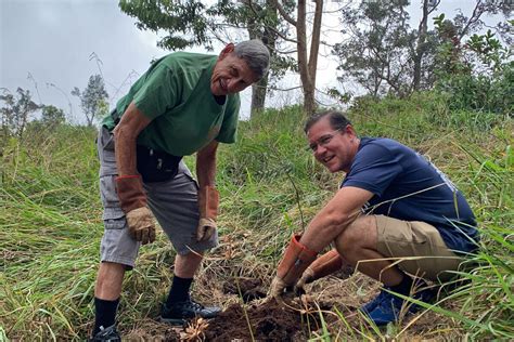 From ukuleles to reforestation: Regrowing a tropical forest in Hawai‘i