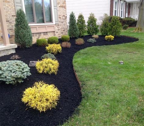 Front Yard Landscape Project in Buffalo - Traditional - Garden