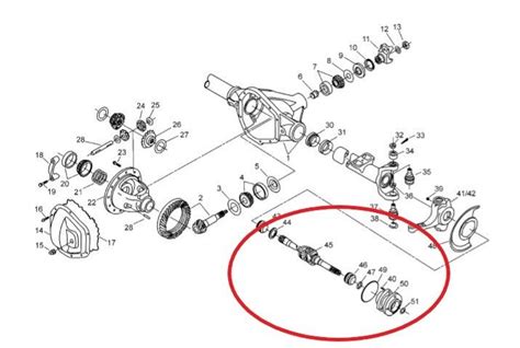 Front axle tech manual for ford excursion. - Birgivis manual interpretted complete fiqh of menstruation related issues.