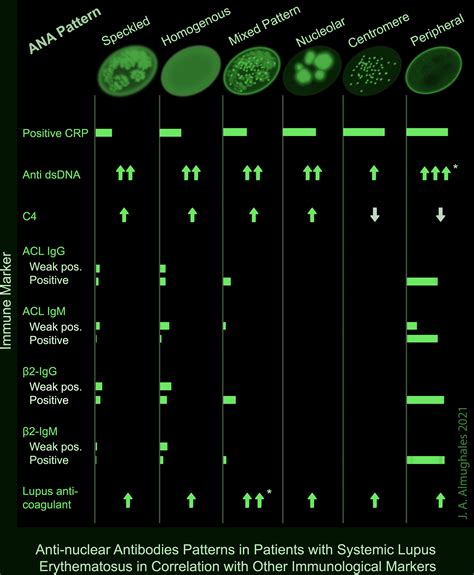 Frontiers AntiNuclear Antibodies Patterns in Patients With Systemic