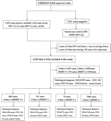 Frontiers Comparison of cycle threshold values of the Cobas HPV test