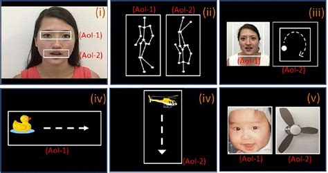 Frontiers Different Eye Tracking Patterns in Autism Spectrum Disorder