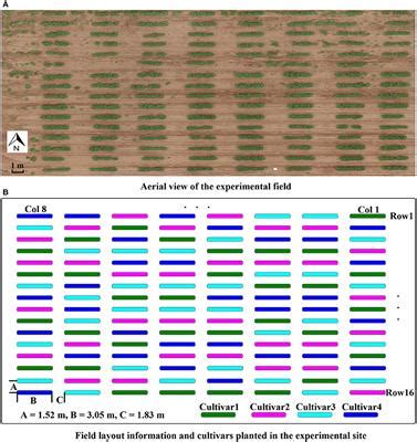 Frontiers In-field High Throughput Phenotyping and Cotton Plant ...