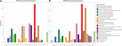 Frontiers Insights Into the Albinism Mechanism for Two Distinct …