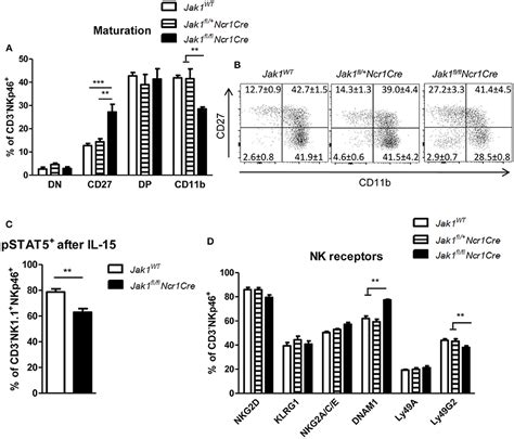 Frontiers Loss of JAK1 Drives Innate Immune Deficiency