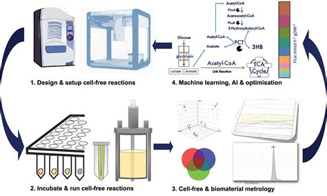 Frontiers Models for Cell-Free Synthetic Biology: Make …