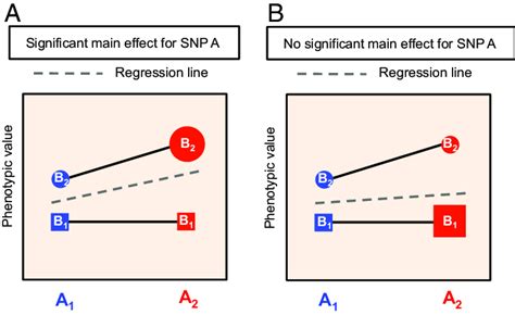 Frontiers Non-additive Effects in Genomic Selection