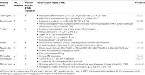 Frontiers Prolactin and Autoimmunity