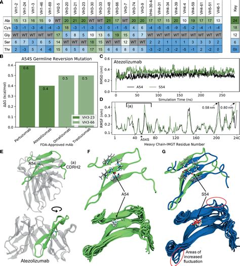 Frontiers Regulatory Approved Monoclonal Antibodies Contain …