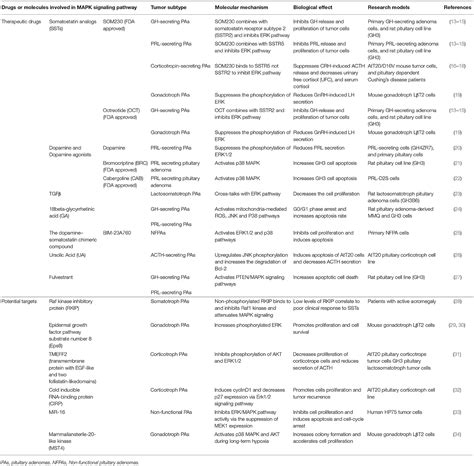 Frontiers The MAPK Pathway-Based Drug Therapeutic Targets in ...