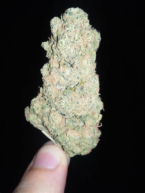 Frosty Weed