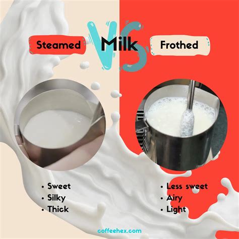 Frothed Milk vs. Steamed Milk: All You Need To Know