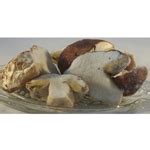 Frozen Mushrooms and Truffles for Sale Here