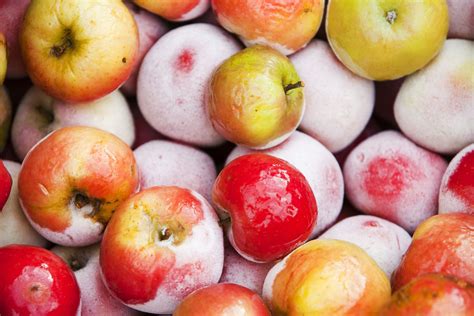 Ruby Frost apples can be frozen for 6-9 months without losing their signature sweet-tart flavor. Freezing does, however, change the texture. Frozen apples are typically spongier and softer, making them perfect for cooked dishes such as …. 