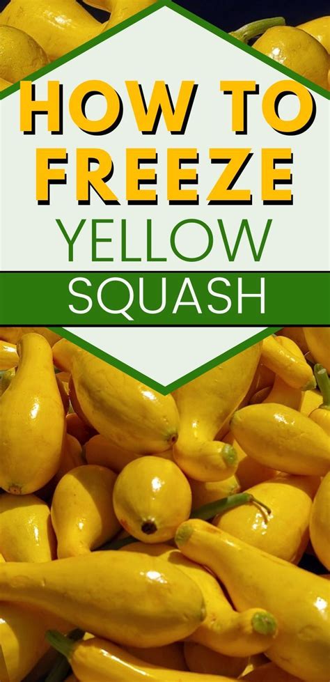 Frozen squash. Learn how to freeze raw or cooked squash in various shapes, sizes, and colors, such as butternut, kabocha, delicata, hubbard, and more. Find tips on … 