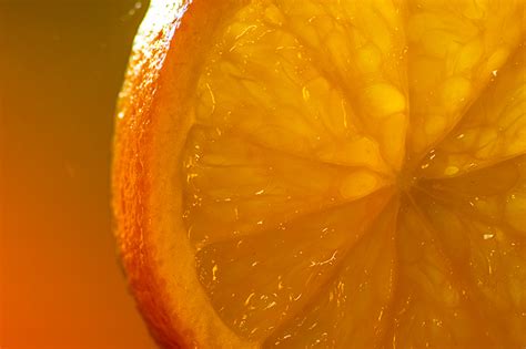 Fruit Macro Photography Tutorial - How to …