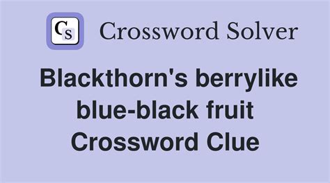 Fruit also called blackthorn NYT Crossword Clue Answer