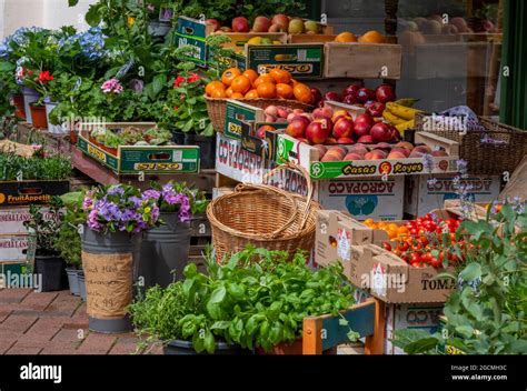 Fruit and Vegetable Display Greengrocers Stand