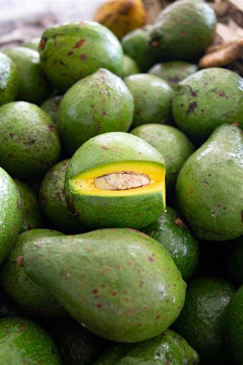 Fruit of the Month: Avocado - Costa Rica