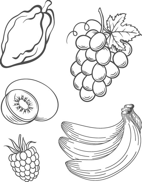 Fruits Colouring Pages Printable