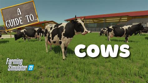 Fs22 cows guide. Cow Barns Pack v1.0.0.1 FS22. Pack of two stables in stone, sheet metal and wood. - Modification of StoreIcon. - Addition of manure for robot stable. - Addition of no pasture version. - Shift in the position of cows at the fence. - Support for the Manure System. - Replacement of Lely brushes with those from AgrarDesignAustria. 