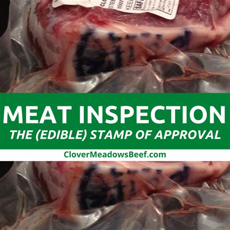 Fsis inspector manual for red meat inspection. - Handbuch größer ducati monster s2r 800.