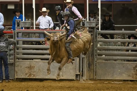 Fu Man Chu - Professional Bull Riders