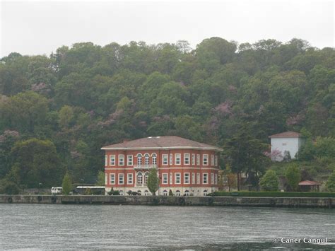 Fuat Halı ve Koltuk Yıkama