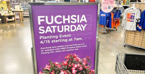 Fuchsia saturday fred meyer 2023. Valley Nursery in Poulsbo always has a big selection of fuchsia starts available after their spring sale in March. Typically in 4" pots for $3.99 ea. and they will plant up the basket for you if you bring one in (or purchase one there). 