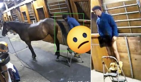 Fucking a horse. Things To Know About Fucking a horse. 