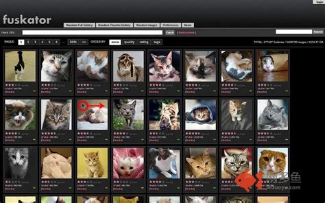 Fuskator provides nude image galleries contributed by users similar to image dump sites. . Fuksator