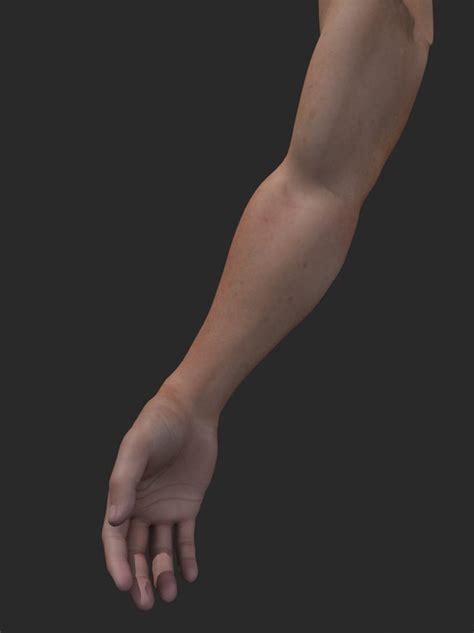 Full Arm 3D Model for Procreate Etsy Canada