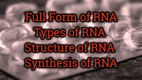 Full Form of RNA Structure of RNA Synthesis of RNA Trendslr