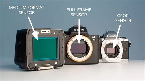 Full Frame vs Crop Sensor Camera All You Need To Know