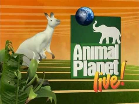 Full List of TV Shows On Animal Planet - Top 50 Reelgood